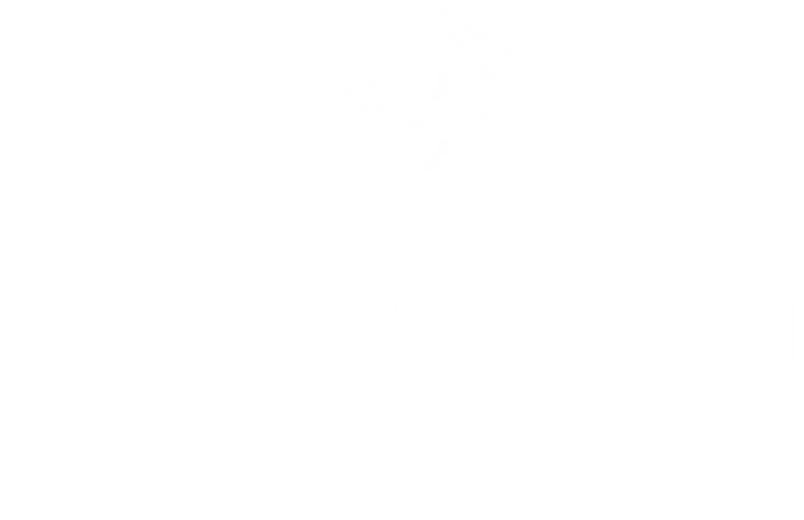 The Lexington Salon And Spa